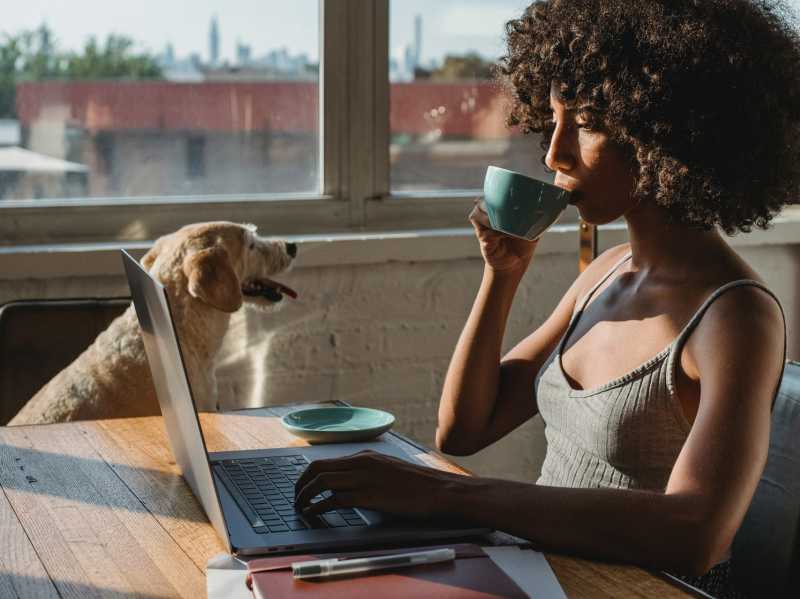 İş Birliğinin Büyüsü